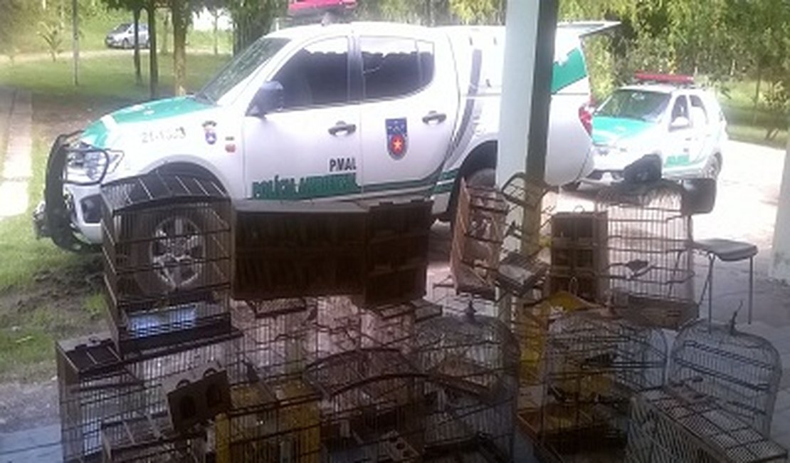 Polícia ambiental resgata animais silvestres em Arapiraca e Taquarana
