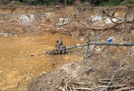 PF apreende armas e equipamentos de garimpeiros no território yanomami
