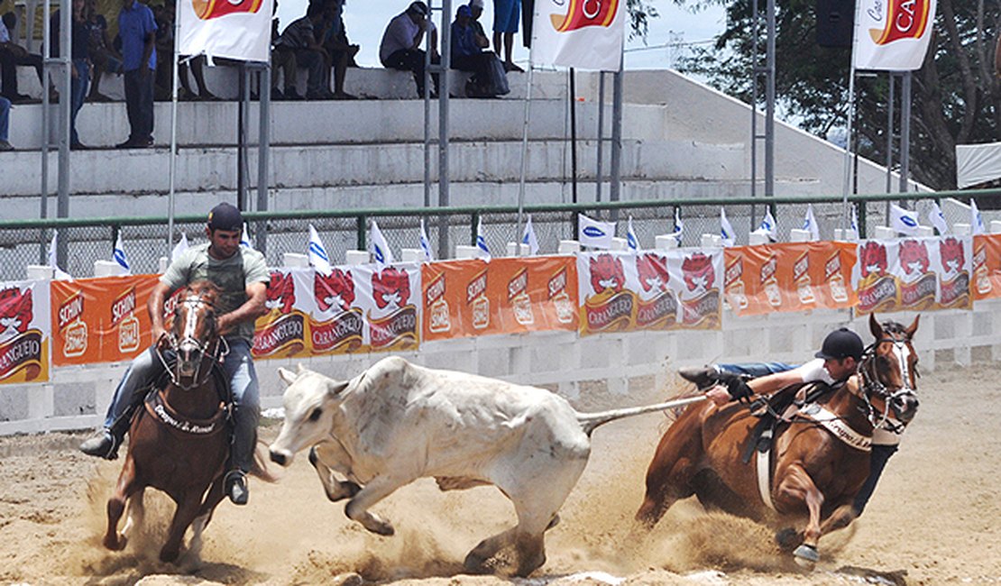 Senado aprova PEC para garantir realização de vaquejadas