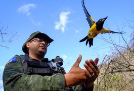 Cerca de 1400 animais silvestres são resgatados no Sertão