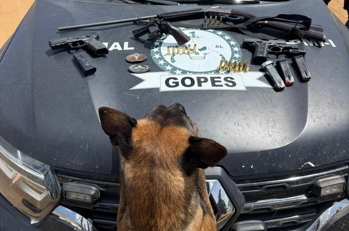 Suspeito foge e deixa pistola, revólver e espingarda para trás, na zona rural de São Sebastião