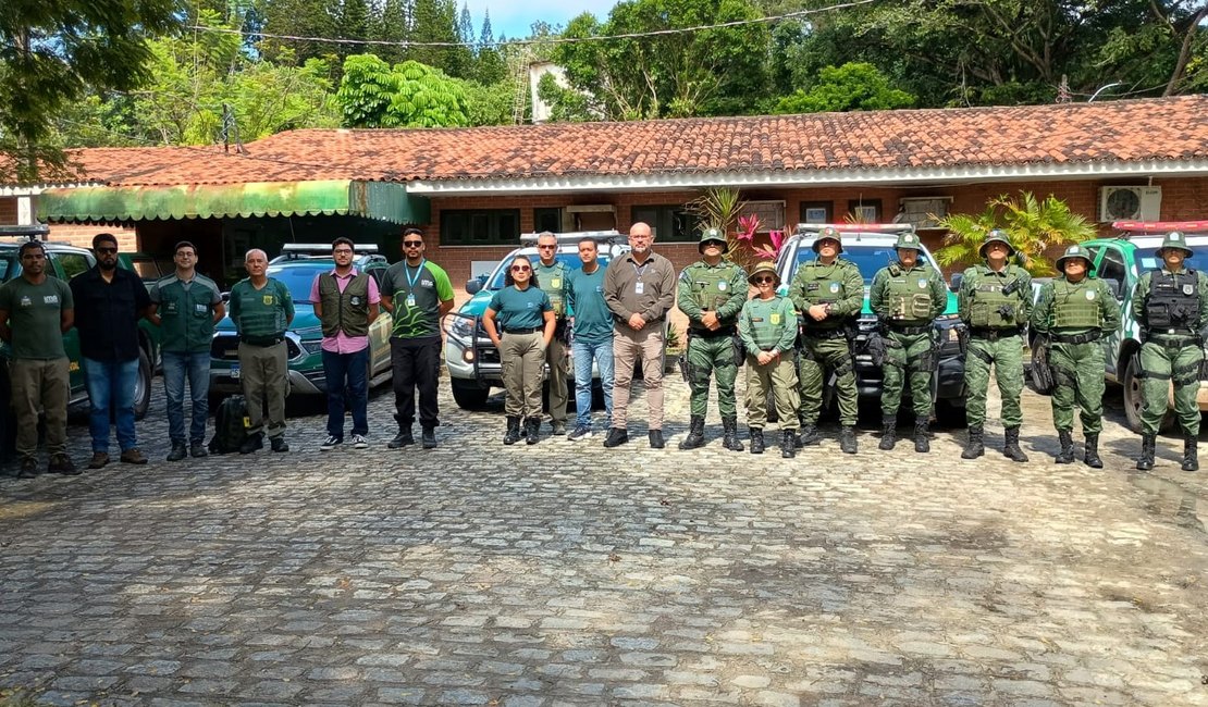 Operação nacional “Mata Atlântica em Pé” começa com flagrante de desmatamento em Maceió