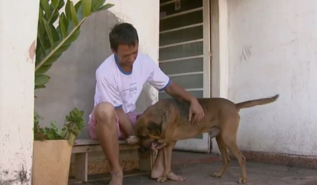 Cão salva rapaz em incêndio que destruiu casa em Matão, SP