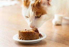 Mulher é presa após furtar patê para gatos e outros produtos em supermercado de Maceió