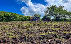 Aração de terra em Traipu