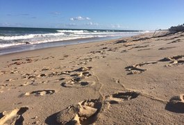 Criança de 5 anos desaparece durante viagem de família em praia de Coruripe