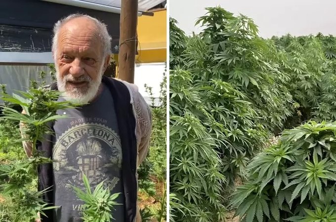 Ex-ator da Globo mostra plantação de maconha para consumo próprio em seu sítio
