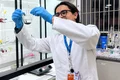 Cientista da USP natural de Girau do Ponciano desenvolve fórmula contra o câncer de próstata