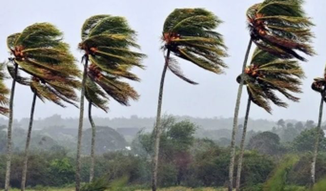 Inmet emite alerta de vendaval para dez municípios do Agreste de Alagoas