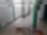 Idosa é presa após esfaquear mulher durante briga em terminal de ônibus de Maceió