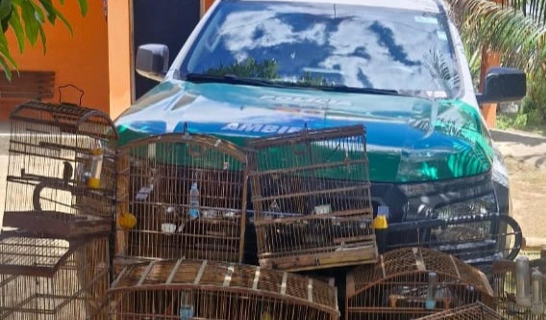 Homens são presos com espingardas e 25 aves silvestres durante operação, em Alagoas