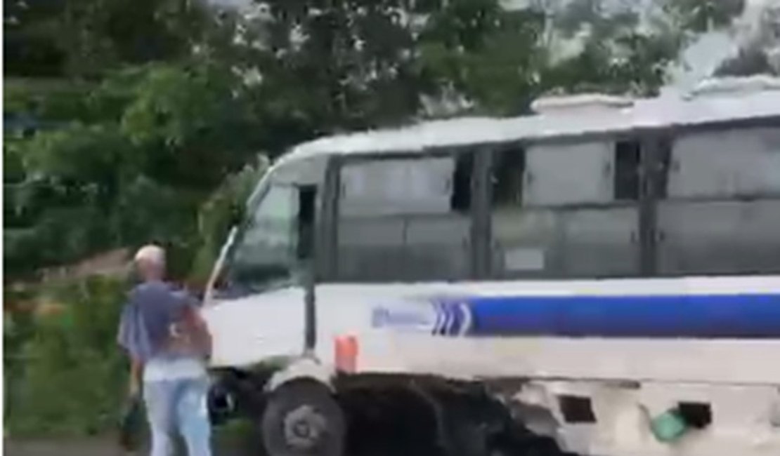 Veículo de transporte alternativo e caminhão colidem em trecho da BR-316, em Satuba