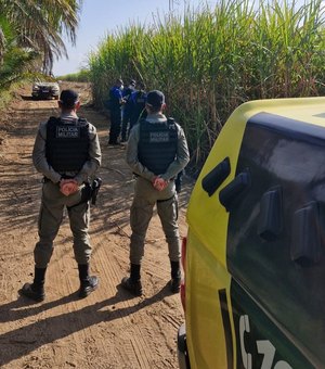 Corpo em avançado estado de decomposição é encontrado em canavial, em Coruripe