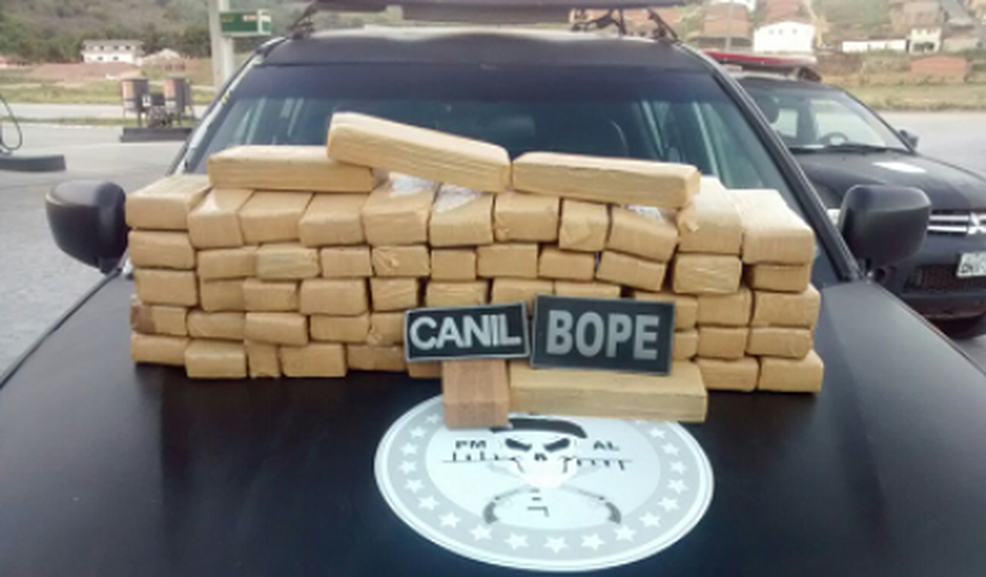 Polícia Militar apreende cerca de 50 quilos de maconha em Alagoas