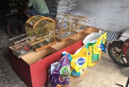 Equipe de fiscalização do IMA flagra irregularidades em Arapiraca