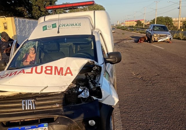 Acidente envolvendo três veículos e um cavalo deixa feridos na AL-220, em Arapiraca