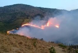 Incêndio atinge a Serra dos Frios e destrói fauna e flora nativas, em União dos Palmares