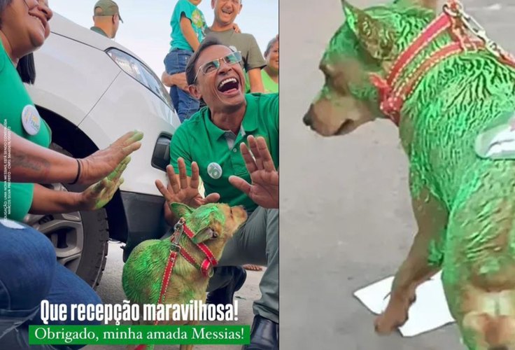 Cão pintado durante campanha de Marcos Silva em Messias gera indignação pública; assista