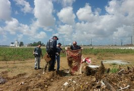 Uncisal afirma que lençol não é justificativa para dizer que bebê nasceu na Santa Mônica