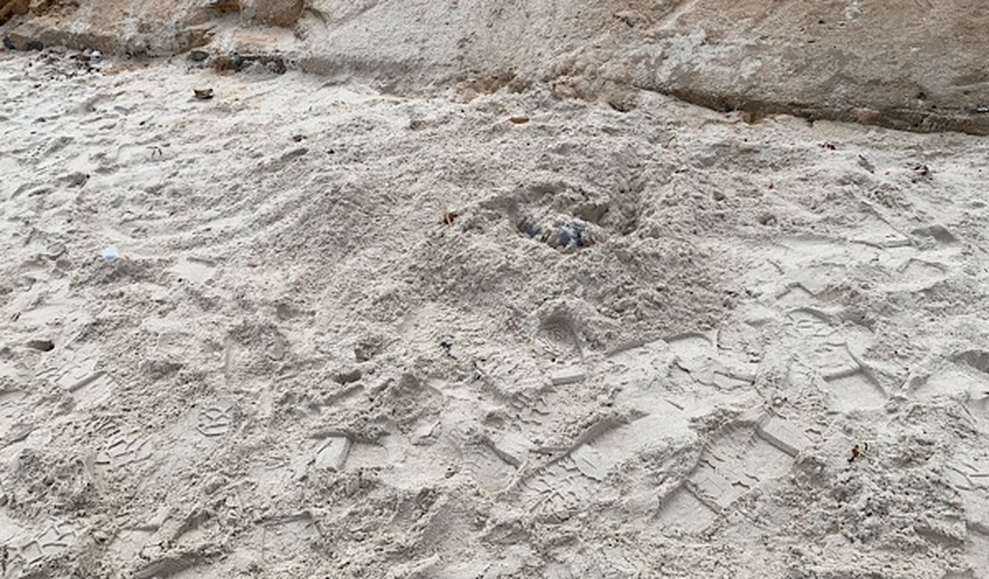 Banhistas encontram corpo feminino em cova rasa na praia do Francês