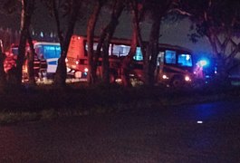 Motorista desvia de cavalo na pista e micro-ônibus escolar de Joaquim Gomes atinge canteiro