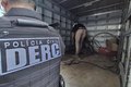 Ação da Polícia Civil mira ferros-velhos suspeitos de comprar cabos furtados em Maceió
