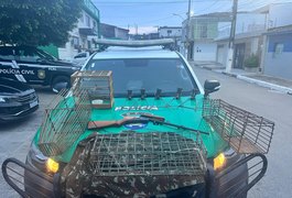 Polícia Militar apreende arma de fogo, animais silvestres e realiza soltura em Alagoas