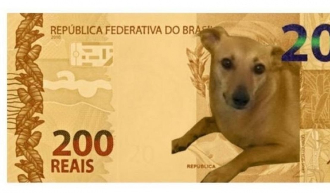 Lobo-guará estampará cédula de R$ 200, mas Banco Central avalia ação com vira-lata caramelo