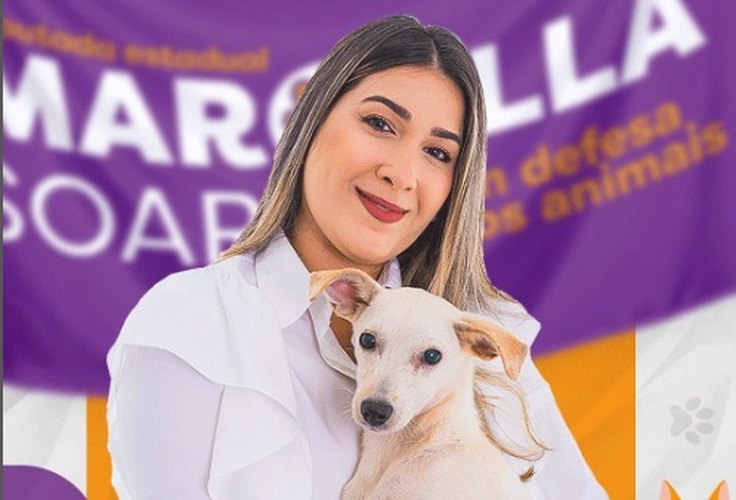 Cachorro morre em evento de campanha de candidata defensora dos animais