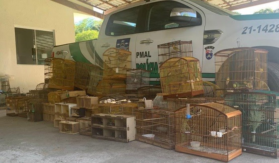 Batalhão Ambiental resgata 208 pássaros silvestres em Maceió e no interior de AL