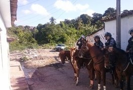 Operação da PM apreende drogas no Manoel Teles, em Arapiraca