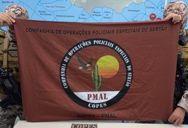 Polícia Militar apreende quatro armas, mais de 1 kg de drogas e recupera veículo roubado em operações, em Alagoas