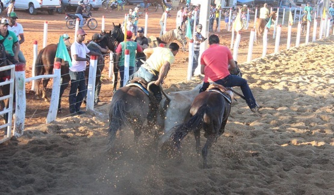 Juíza suspende vaquejada em Palmeira dos Índios, Alagoas