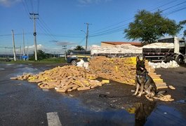 PRF prende caminhoneiro com mais de 3 mil quilos de maconha