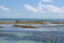 Confira as praias próprias para banho no litoral alagoano