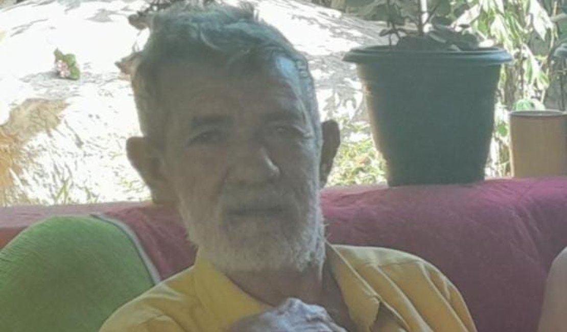 Idoso é ferroado por enxame de abelhas e morre em Lagoa da Canoa