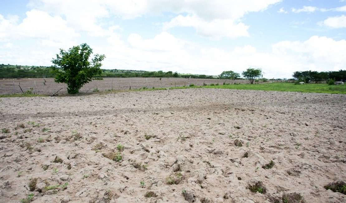 Viçosa, AL, tem estado de emergência reconhecido pelo governo federal