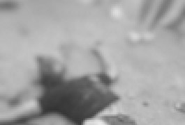 Jovem é brutalmente assassinado no Vergel, em Maceió