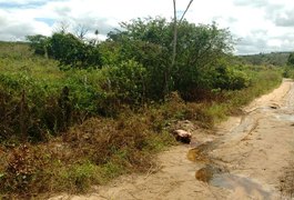 Populares encontram homem assassinado em estrada vicinal de Girau do Ponciano