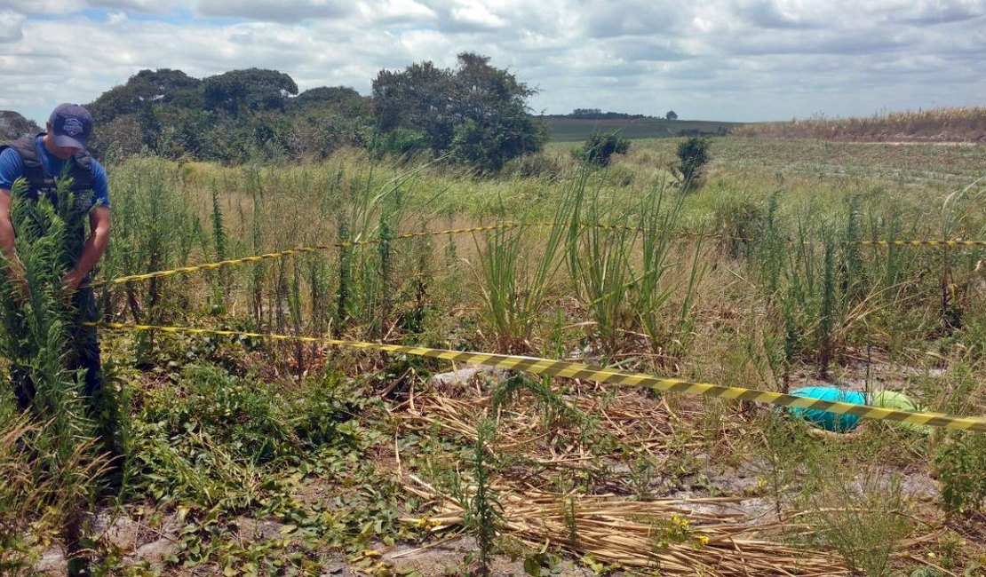 Guarda Civil Municipal encontra corpo após denuncias no interior de AL