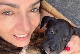 Claudia Ohana revolta web após devolver cachorros para ONG