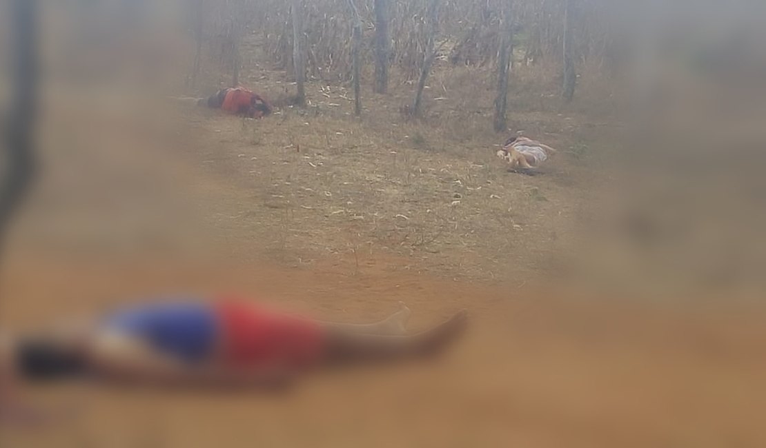 Três corpos são encontrados em terreno no Povoado Rancho, em Igaci