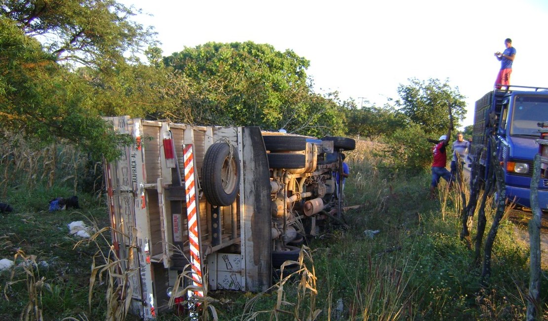 Motorista perde o controle da direção e caminhão tomba na AL 115