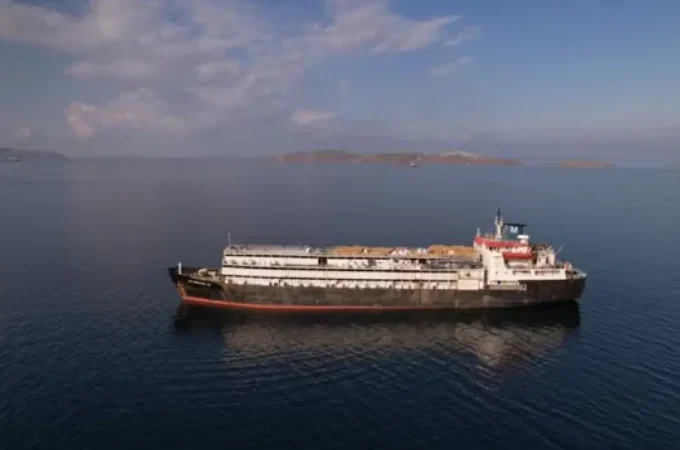 Navio que partiu do Uruguai com milhares de vacas foi proibido do atracar na Turquia