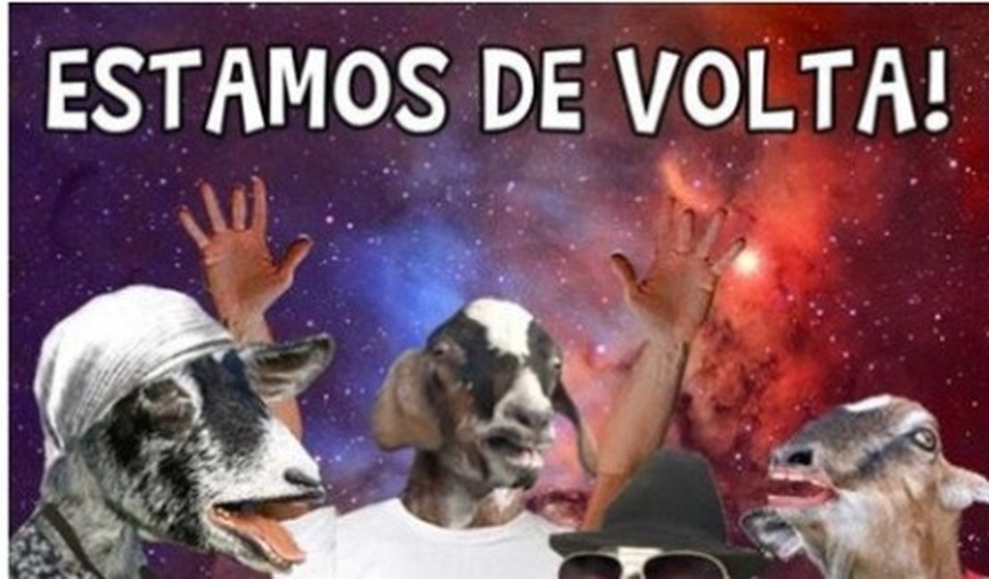 Seguidores comemoram volta do Bode Gaiato ao Facebook