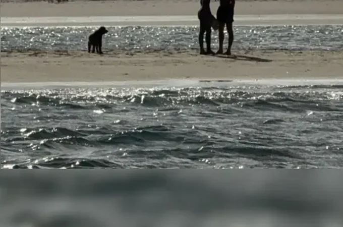 Bruna Marquezine e Shawn Mendes são flagrados se beijando em praia de Alagoas