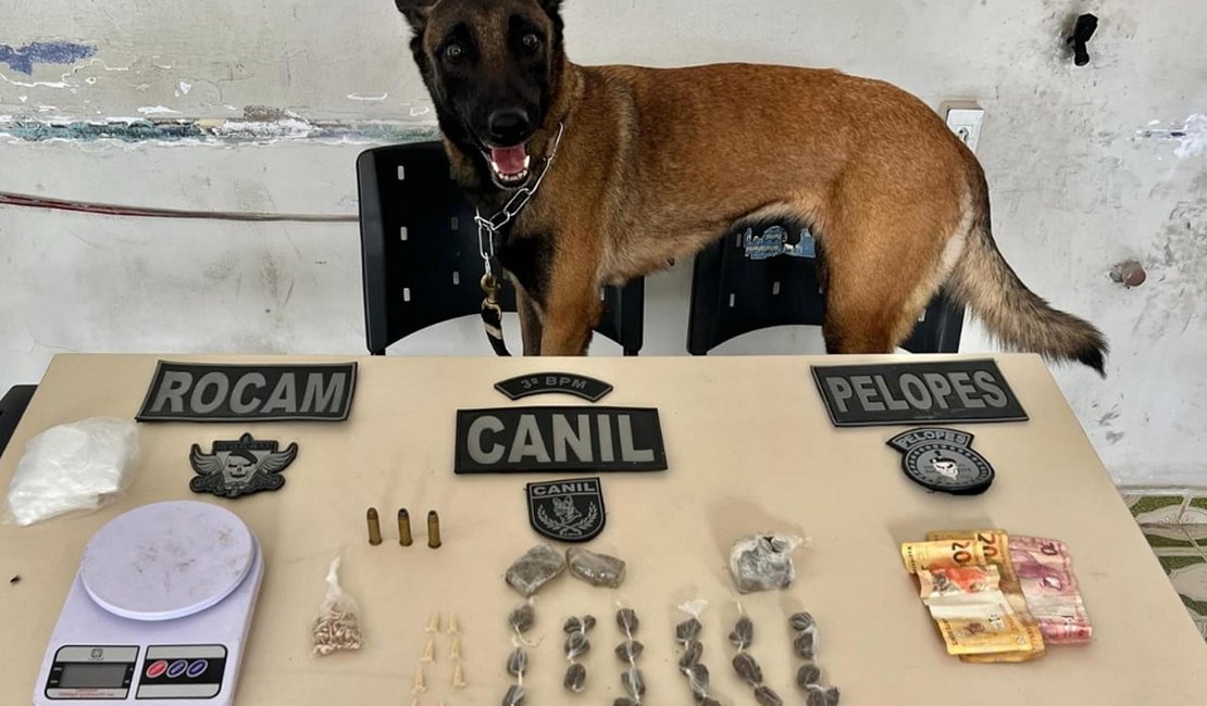 Com auxílio de cão farejador, PM prende homem em ponto de drogas em Arapiraca