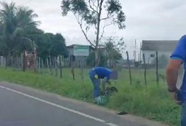 Motociclista 'sobra' em curva e atinge poste de energia elétrica na AL-115, em Campo Grande