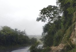 Após chuvas, barreira desaba em rodovia alagoana nesta sexta (20)