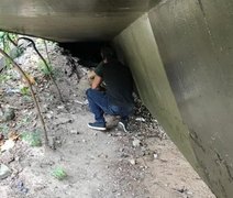 Homem que maltratava e abusava sexualmente de cães é indiciado no Rio de Janeiro